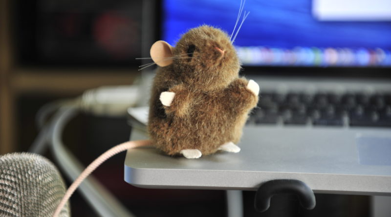 Photo, Toy Mouse on Computer
